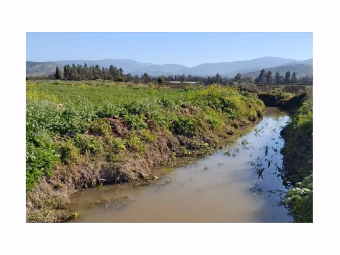 Venta de terrenos de 5.000 m2, en Nogales. QUEDAN 4. A sólo 50 M$