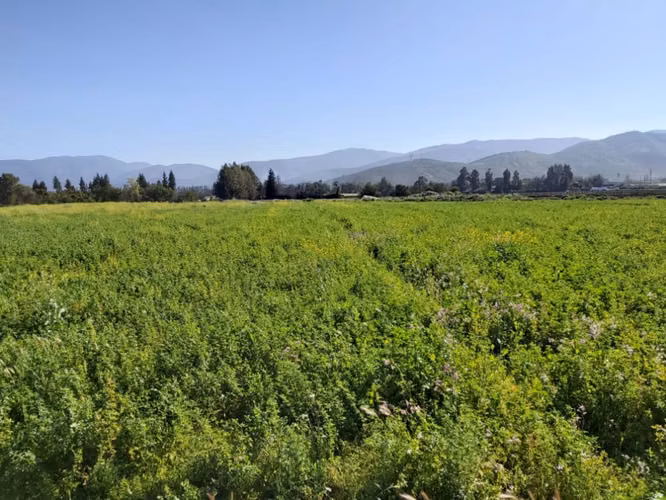 Venta de terrenos de 5.000 m2, en Nogales. QUEDAN 4. A sólo 50 M$
