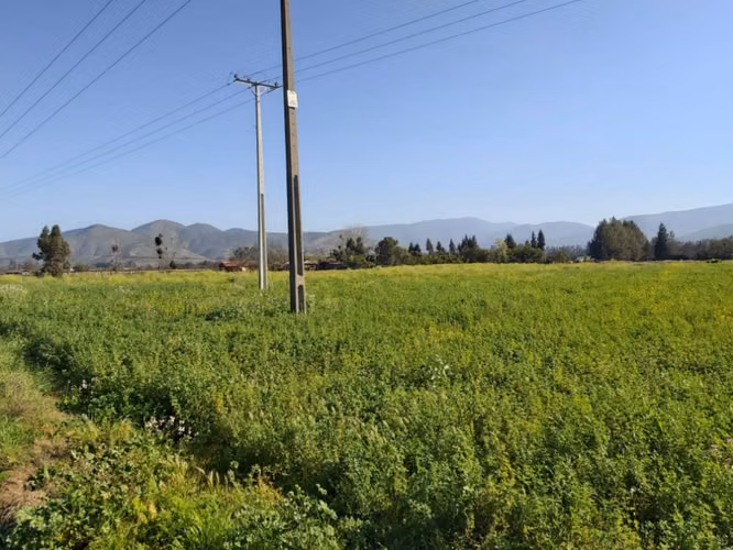 Venta de terrenos de 5.000 m2, en Nogales. QUEDAN 4. A sólo 50 M$