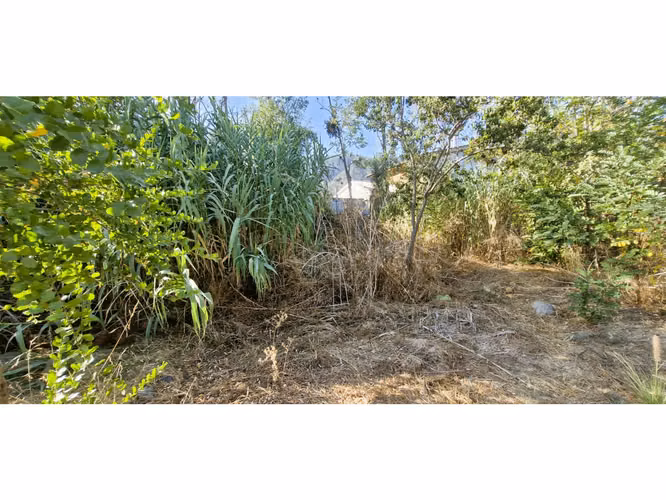 Venta de sitio de 1.300 m2., con 2 casas y una cabaña, en Olmué. 102 M$