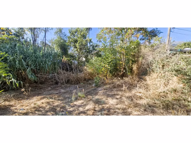 Venta de sitio de 1.300 m2., con 2 casas y una cabaña, en Olmué. 102 M$