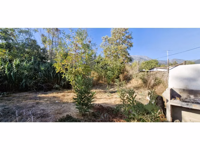 Venta de sitio de 1.300 m2., con 2 casas y una cabaña, en Olmué. 102 M$