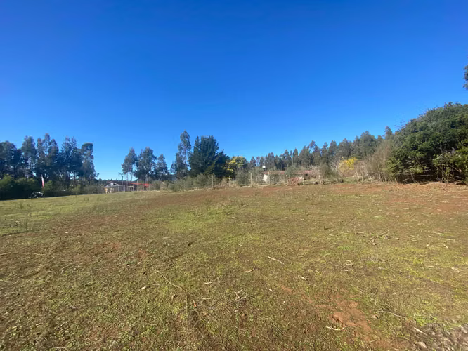 Curanipe, sector Las Canchas, 8.900m2 (174395)