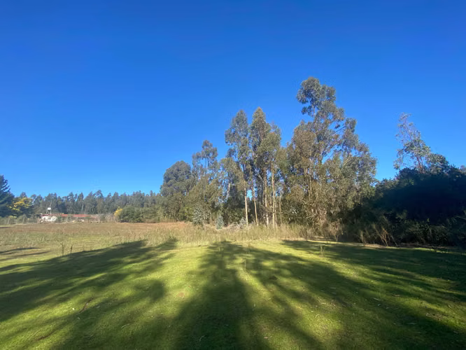 Curanipe, sector Las Canchas, 8.900m2 (174395)