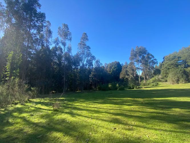 Curanipe, sector Las Canchas, 8.900m2 (174395)
