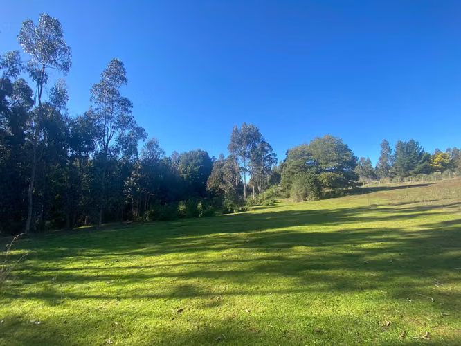 Curanipe, sector Las Canchas, 8.900m2 (174395)