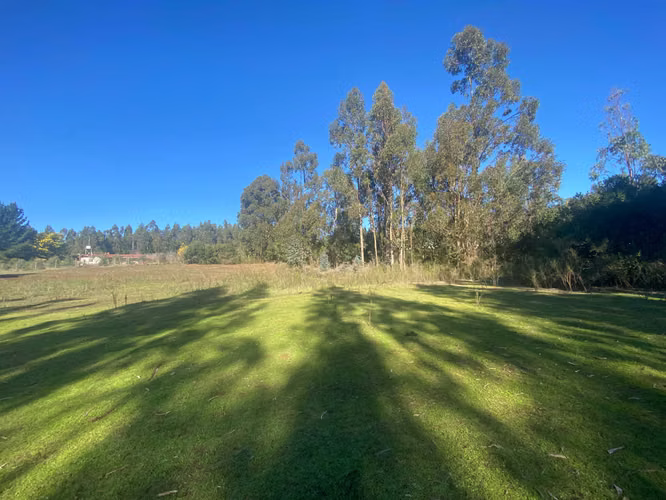 Curanipe, sector Las Canchas, 8.900m2 (174395)