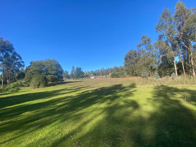 Curanipe, sector Las Canchas, 8.900m2 (174395)