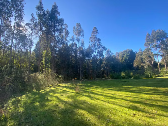 Curanipe, sector Las Canchas, 8.900m2 (174395)