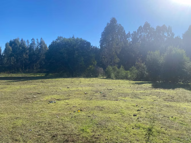 Curanipe, sector Las Canchas, 8.900m2 (174395)