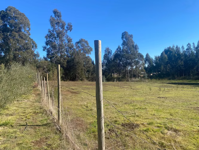 Curanipe, sector Las Canchas, 8.900m2 (174395)