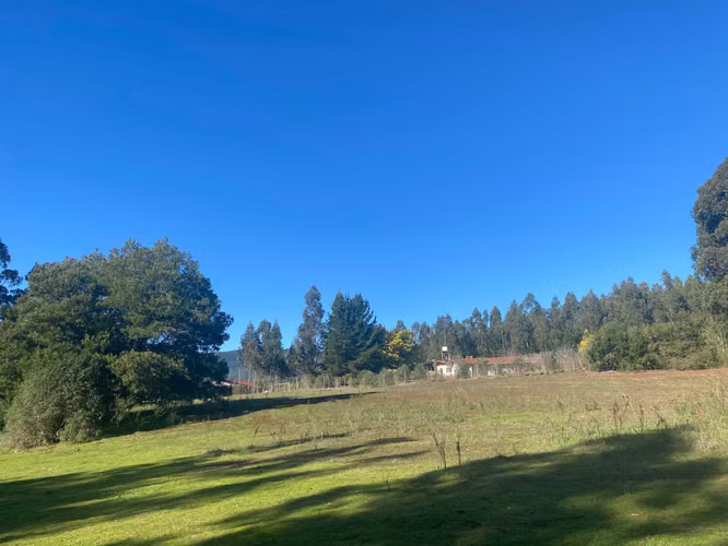 Curanipe, sector Las Canchas, 8.900m2 (174395)