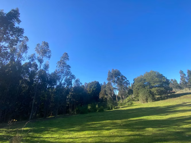 Curanipe, sector Las Canchas, 8.900m2 (174395)