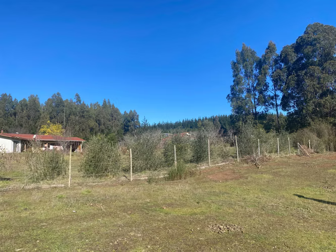 Curanipe, sector Las Canchas, 8.900m2 (174395)