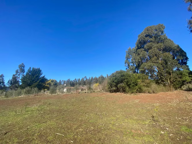 Curanipe, sector Las Canchas, 8.900m2 (174395)