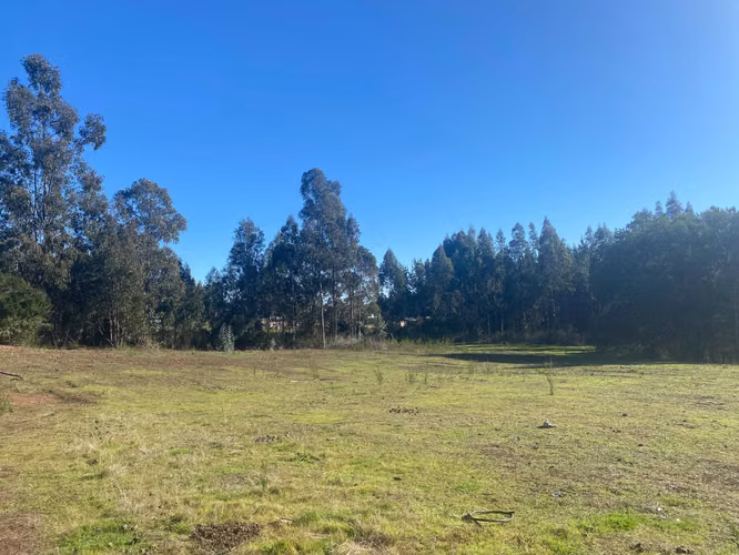 Curanipe, sector Las Canchas, 8.900m2 (174395)