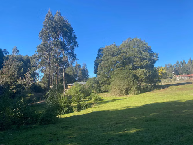 Curanipe, sector Las Canchas, 8.900m2 (174395)