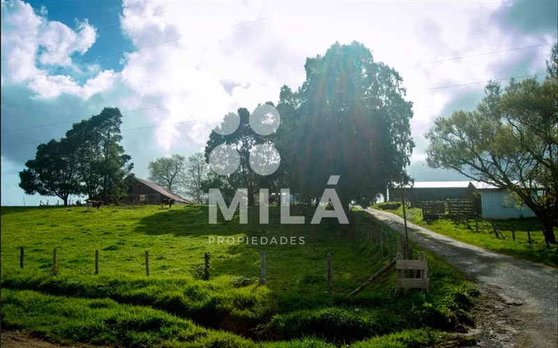 Sitio en venta en Los Muermos. Llave en mano.