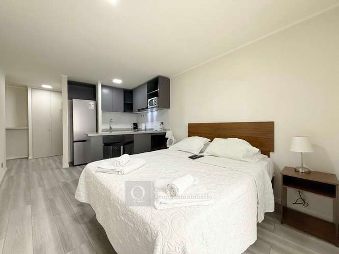 DEPARTAMENTO AMOBLADO TIPO ESTUDIO SANTIAGO CENTRO - Imagen 2