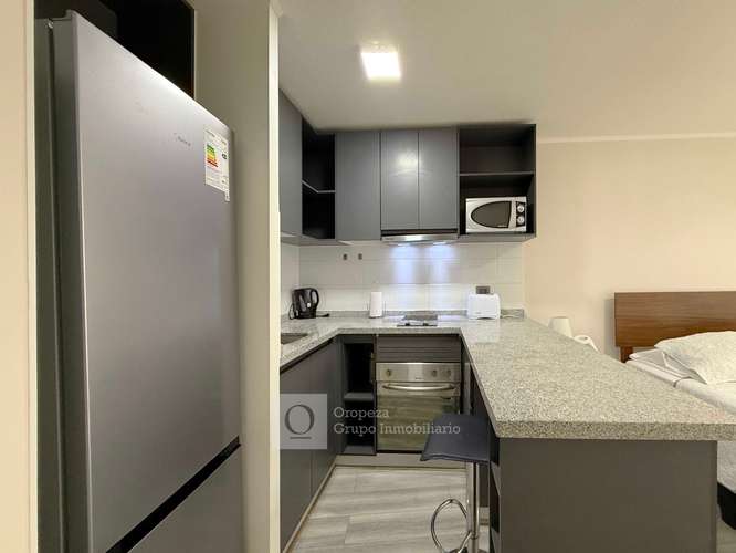 DEPARTAMENTO AMOBLADO TIPO ESTUDIO SANTIAGO CENTRO - Imagen 5