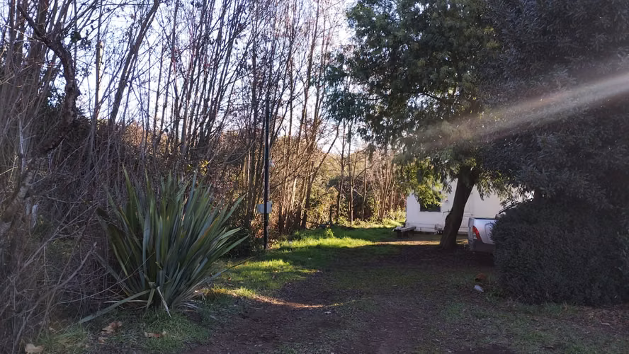 VENDO PREDIO AGRICOLA 4.4 HA /1.5 HA CEREZOS REGINA/2 CASA + POZO. SECTOR EL CARMEN