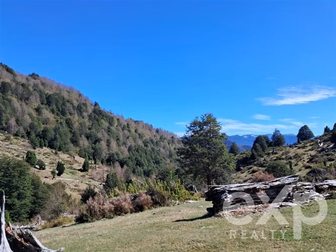 Sitio en venta en Curarrehue 78.000.000, 23 Ha - Imagen 3