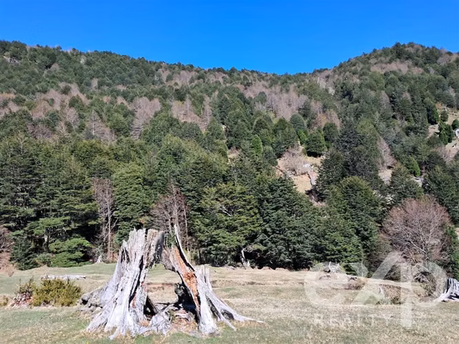 Sitio en venta en Curarrehue 78.000.000, 23 Ha - Imagen 9
