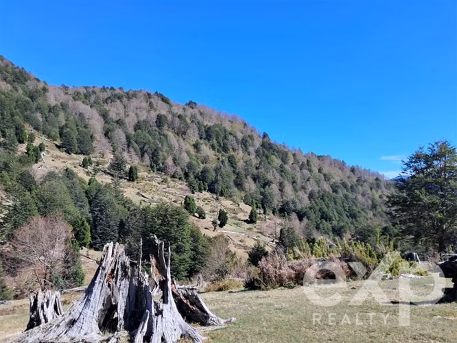 Terreno Construcción venta en Curarrehue 78.000.000, 23 Ha - Imagen 10