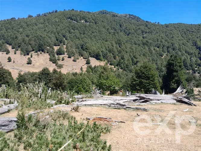 Terreno Construcción venta en Curarrehue 78.000.000, 23 Ha - Imagen 4