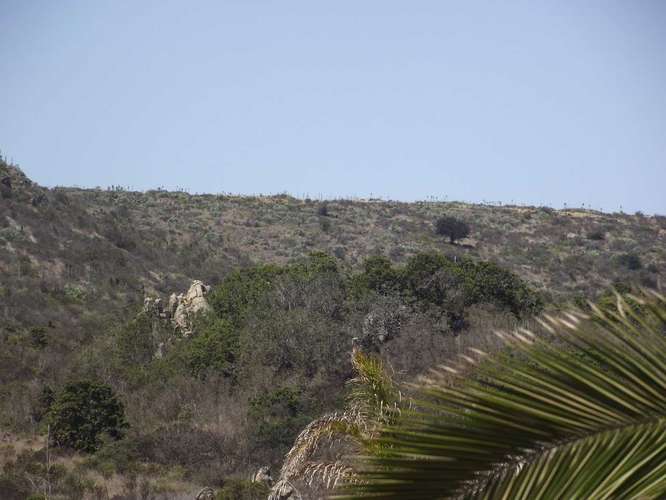 OPORTUNDIAD  VENTA PARCELA,LOS MOLLES. (172254)