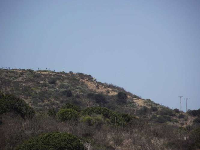 OPORTUNDIAD  VENTA PARCELA,LOS MOLLES. (172254)
