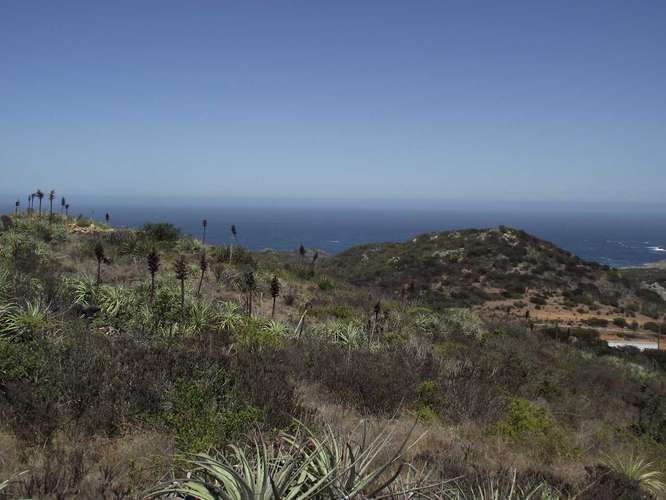 OPORTUNDIAD  VENTA PARCELA,LOS MOLLES. (172254)