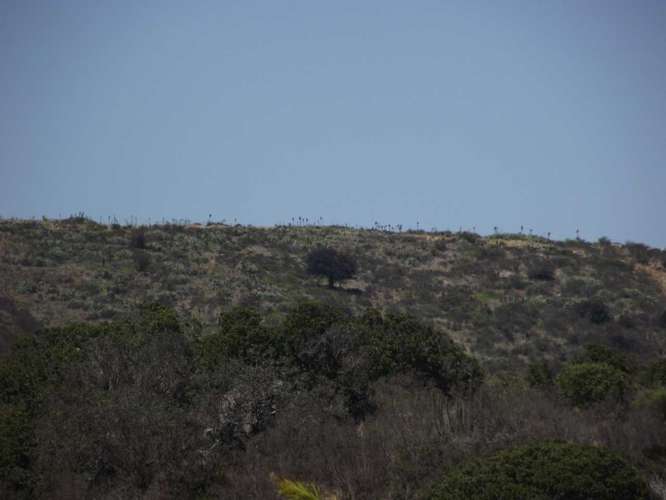 VENTA PARCELA, ROCAS DEL MAR, LOS MOLLES (172254) - Imagen 11