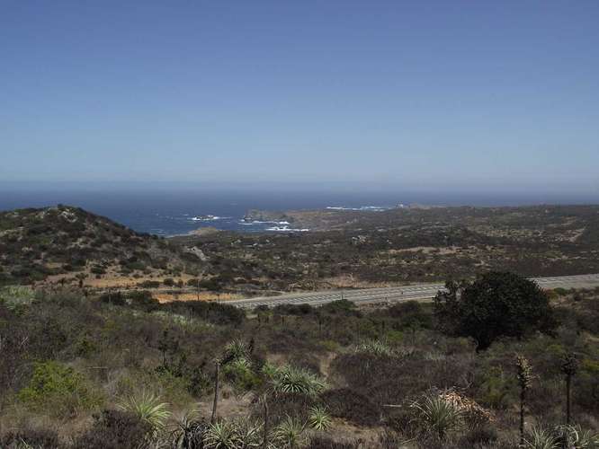 OPORTUNDIAD  VENTA PARCELA,LOS MOLLES. (172254)