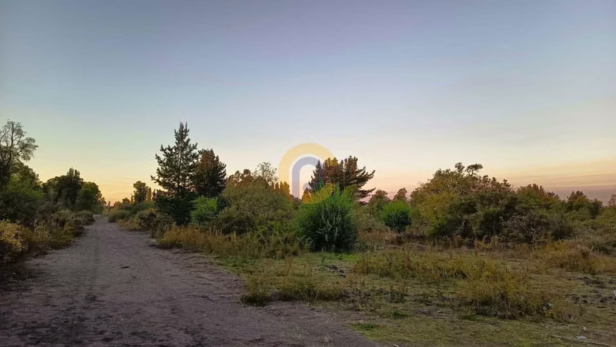 Terreno, Cerro Colorado, Los Ángeles (174661)