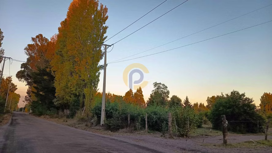 Terreno, Cerro Colorado, Los Ángeles (174661)