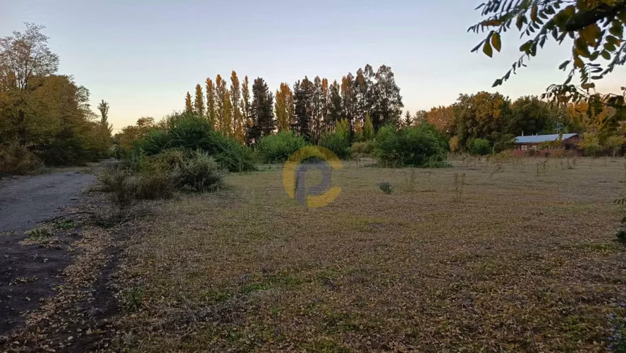 Terreno, Cerro Colorado, Los Ángeles (174661)