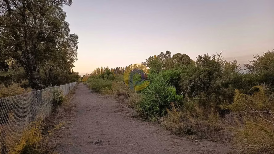 Terreno, Cerro Colorado, Los Ángeles (174661)