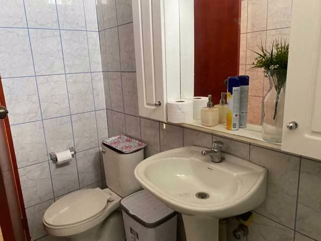 Local comercial y bodega con recepción final (121868)
