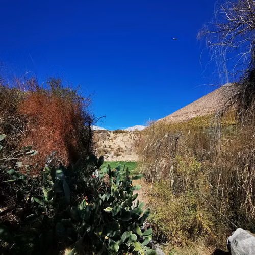 VENDO LODGE TURISTICO EN EL VALLE DEL ELQUI, SECTOR ALCOHUAZ