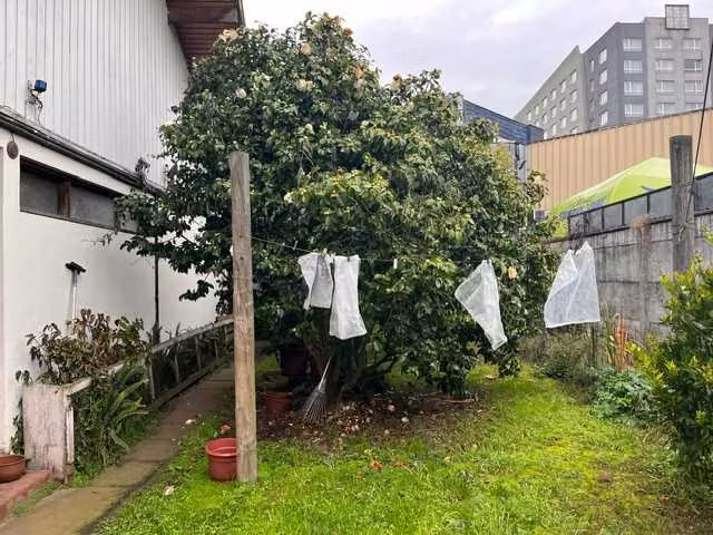 Amplia Casa con 5 Dormitorios (174680) - Imagen 24