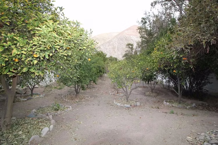 Acogedora parcela con linda casa 2 pisos (174707)
