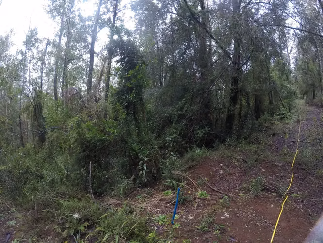 Oportunidad Parcela 1,1 ha. a 20 min. de Valdivia