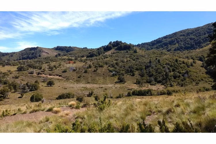 Parcela lonquimay 1,4 ha