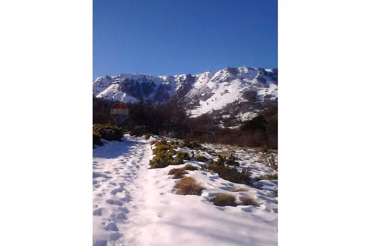 Parcela lonquimay 1,4 ha