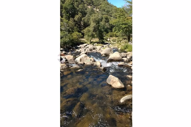 Parcela lonquimay 1,4 ha