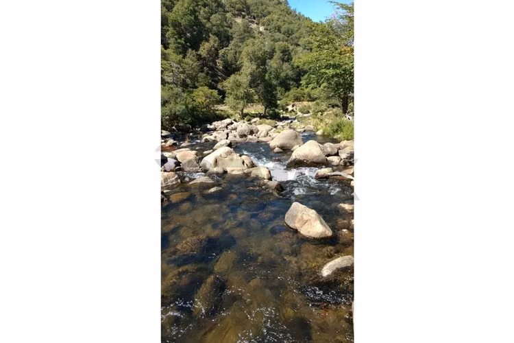 Parcela lonquimay 1,4 ha