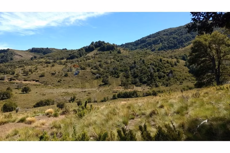 Parcela lonquimay 1,4 ha