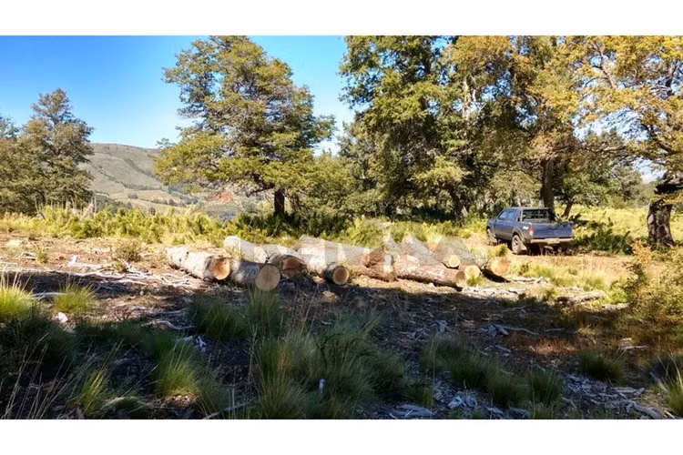 Parcela lonquimay 1,4 ha