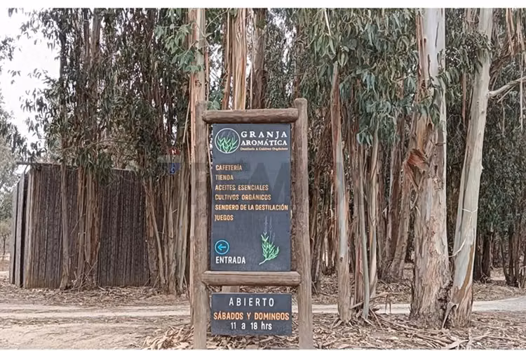 Venta hacienda los aromos, limache
